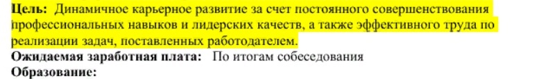 цель резюме или не писать вовсе или все же более внятную, без нагромождения умных слов
