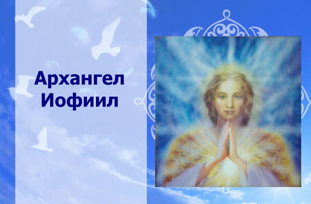 Фото из интернета