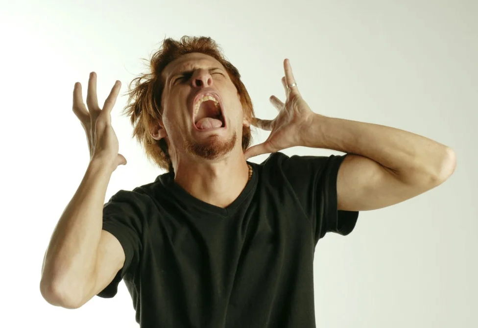 фото из открытого источника яндекс