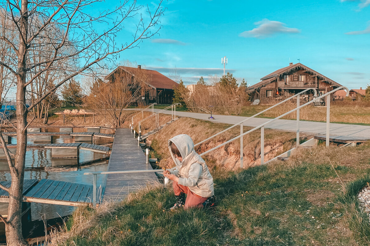 Вот так я представляю территорию посеелка: дорожки, пристань, ухоженные домики. Фото из Конаково Ривер Клаб