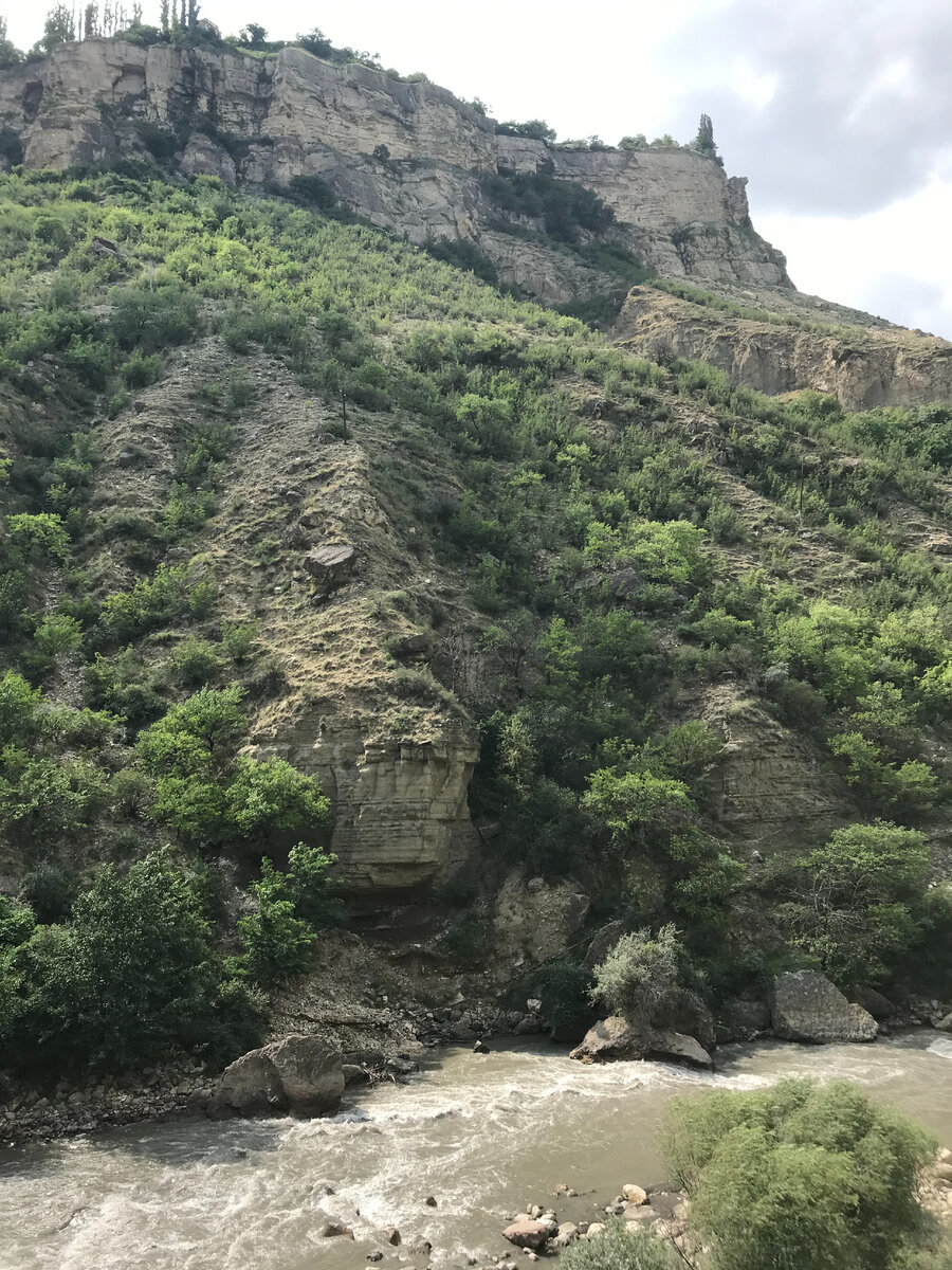 Село Гуниб и мемориал "Белые журавли" вооон там, где растут на обрыве скалы туи. На самую вершину смотрите.