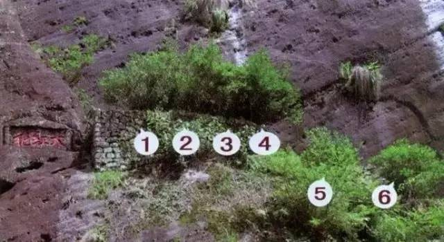 Материнские кусты около монастыря Тяньсинь 