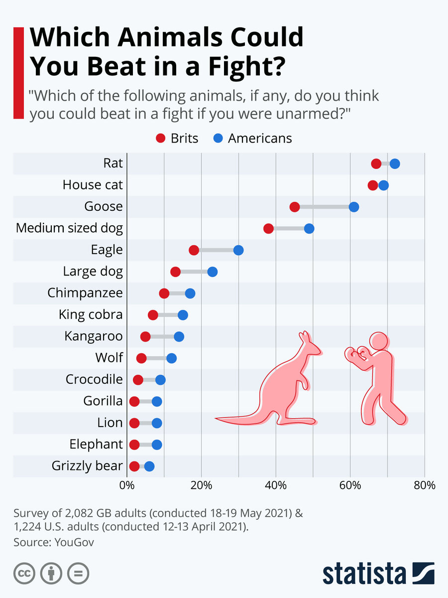 Источник: statista.com