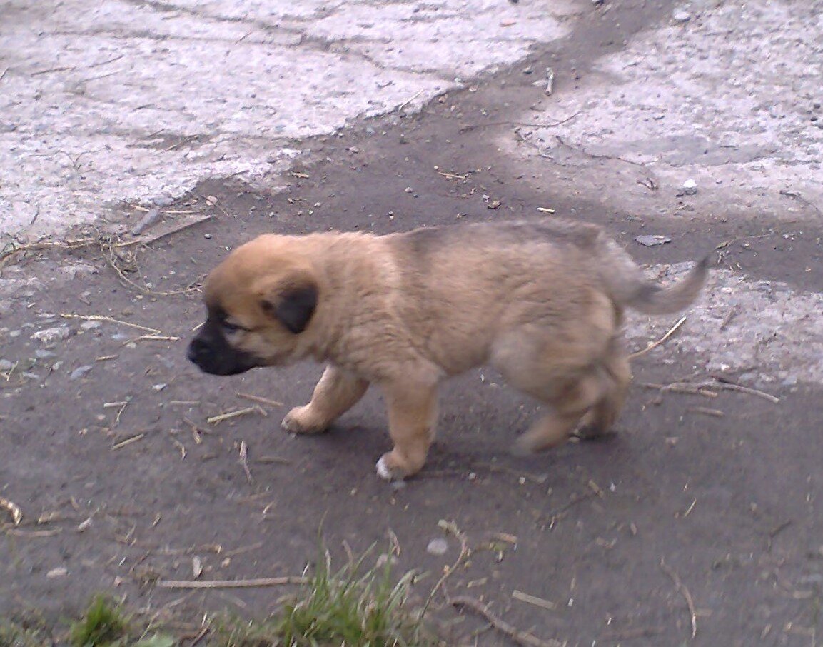 Фото автора.