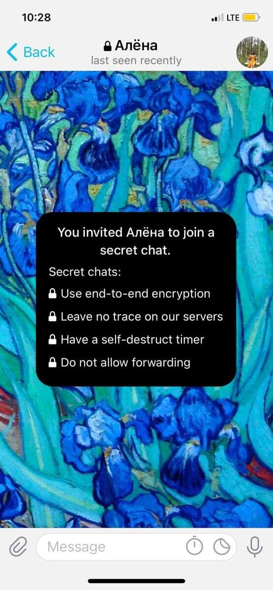 Секретный чат в Telegram