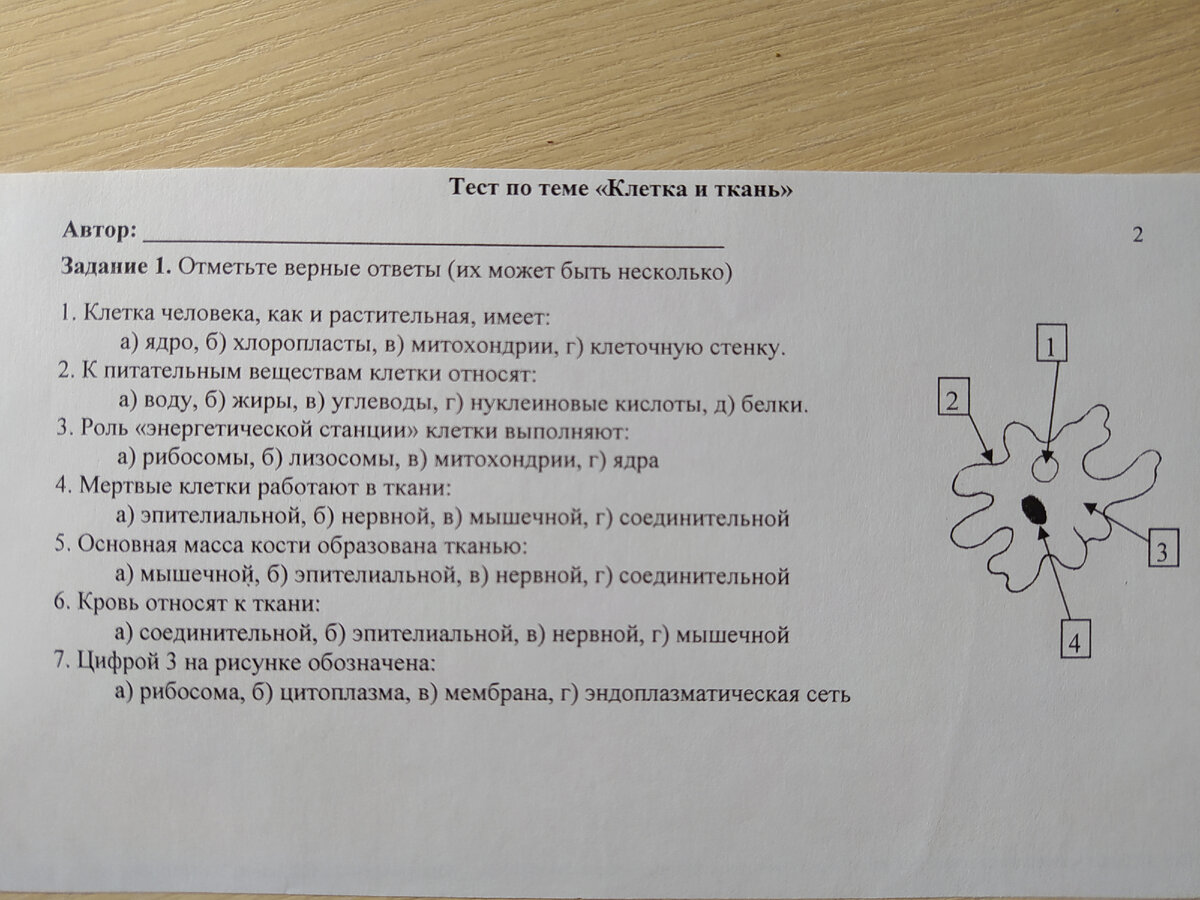 Циферка "2" в правом верхнем углу - это номер варианта. Но даже если дети и догадаются об этом, я специально меняю местами ответы, чтобы "списывальщики" попадали впросак