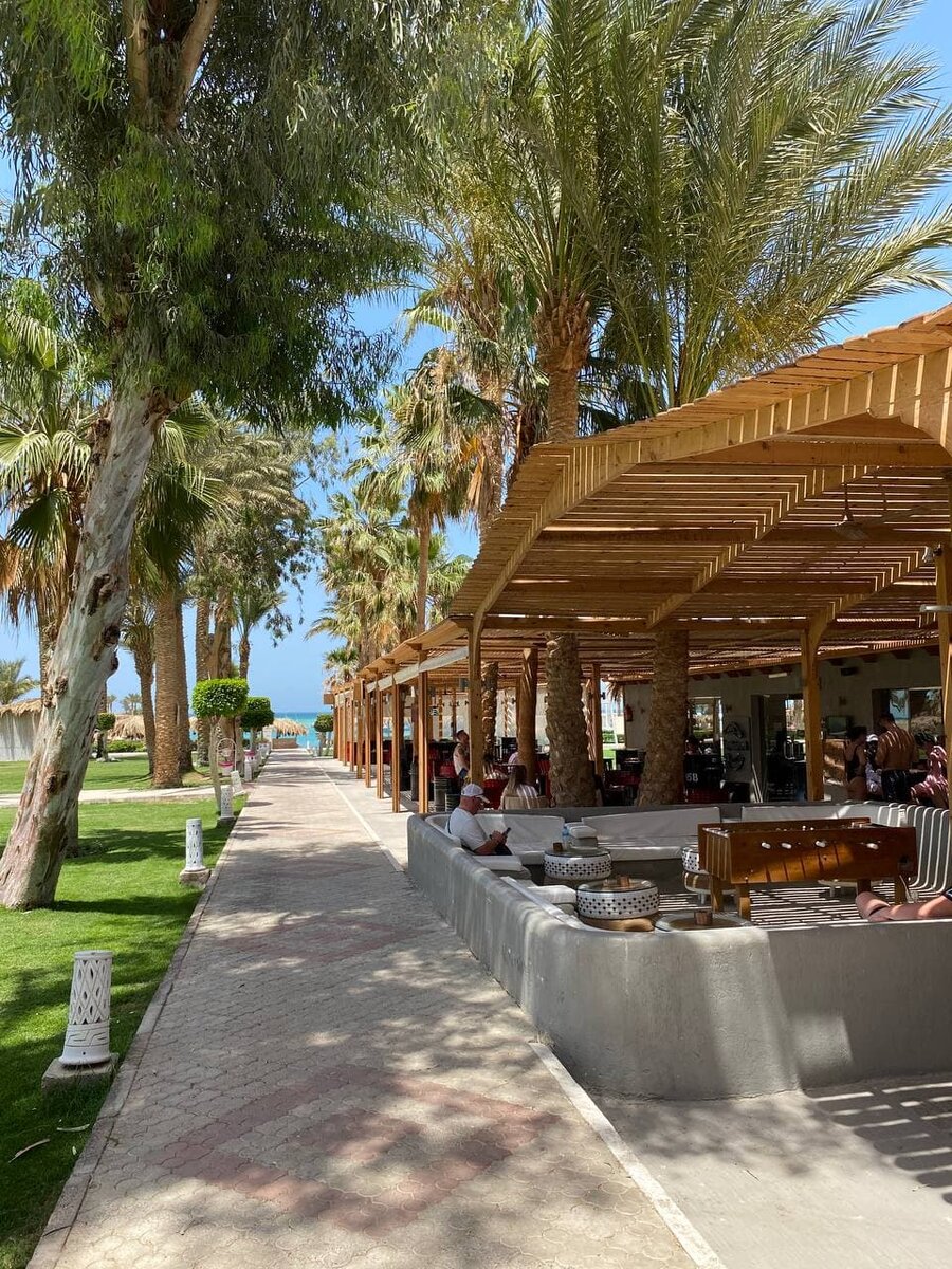 Миракл резорт египет хургада. Египет отель meraki хургада. Отель meraki resort 4 хургада. Meraki отель египет. Египет отель meraki хургада.