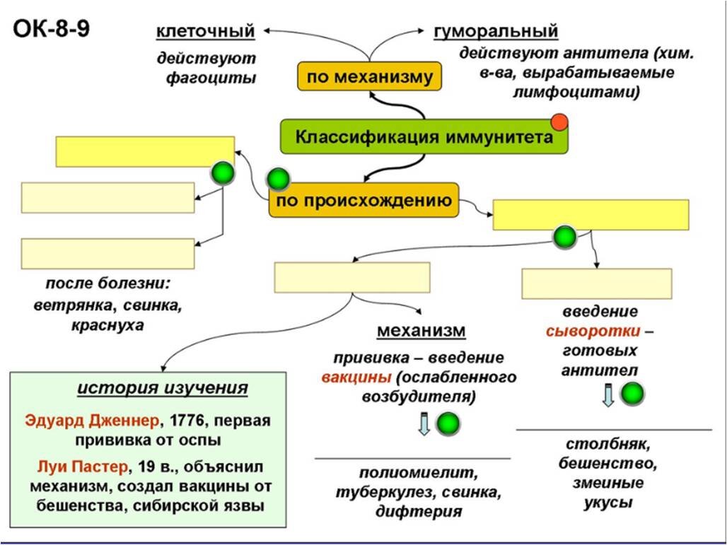 Каким бывает иммунитет — хорошая тема для самостоятельной работы ученика с  учебником. (Дети любят составлять схемы) | Елена Сова: пуд соли в школе |  Дзен