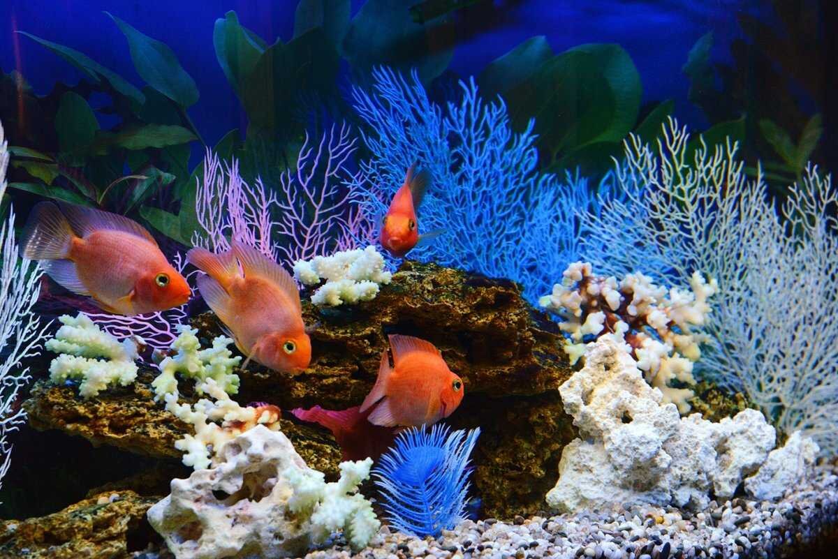 Нервы успокаивают