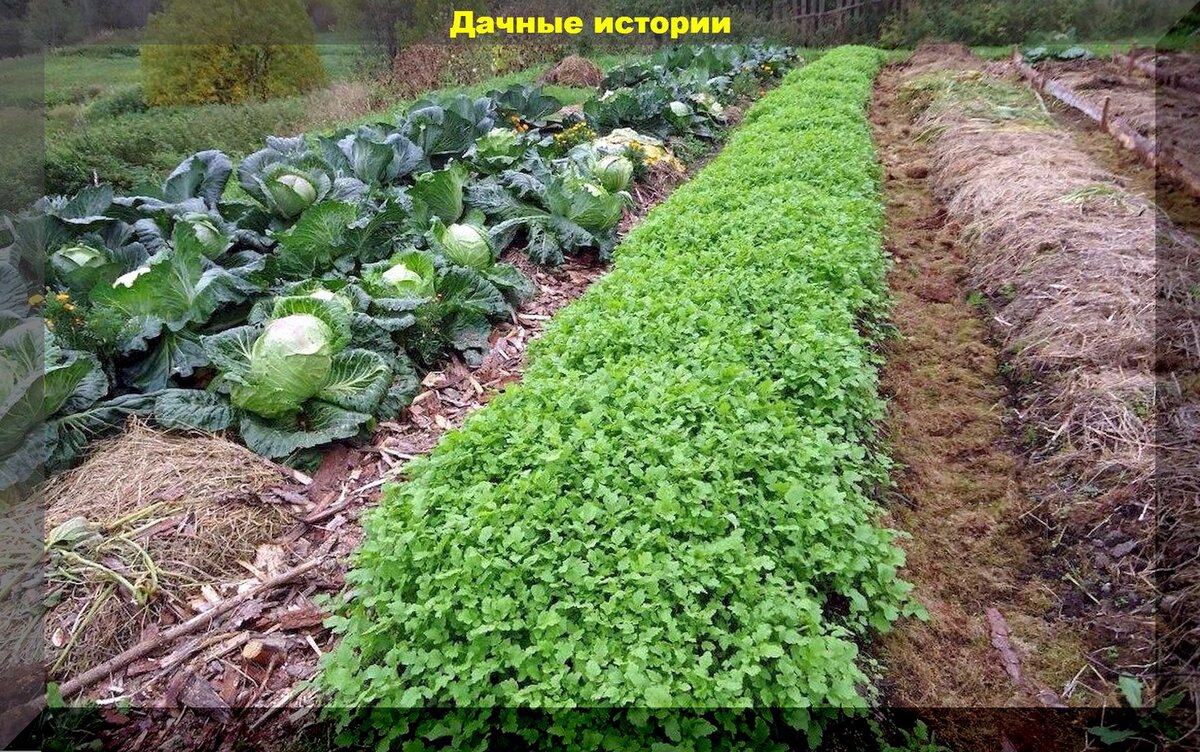 https://vk.com/photo-159774511_457250141