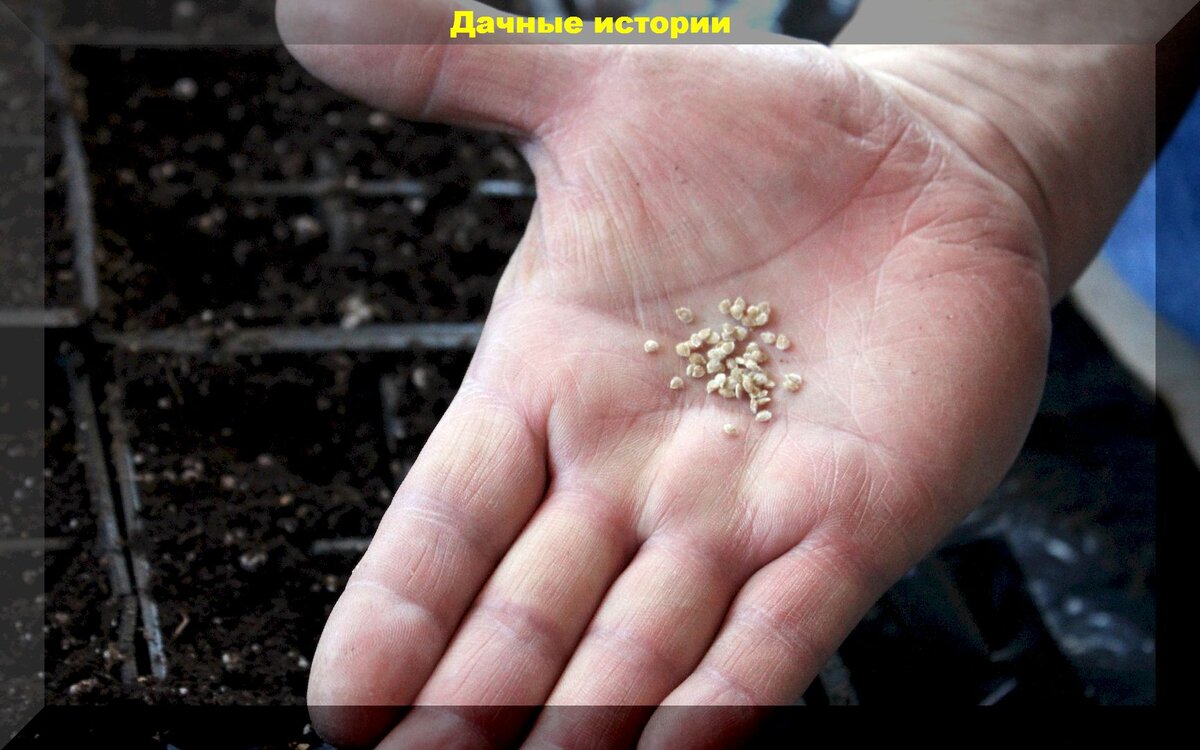 https://vk.com/photo-159774511_457250730