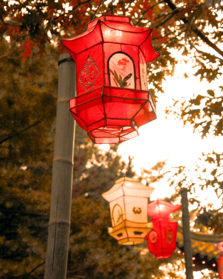 Китайские фонари. Подготовка к предстоящему Новому году. Самого этого дня в этом году не будет по астрологическому календарю