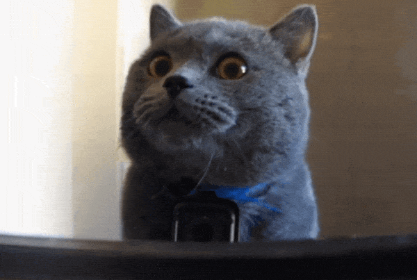 Скорпионы порой сами в шоке от партнеров, которых выбирают!