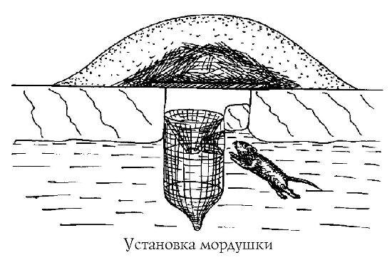 Эксперимент, опыт, интервьюирование экспертов как метод изучения концептов