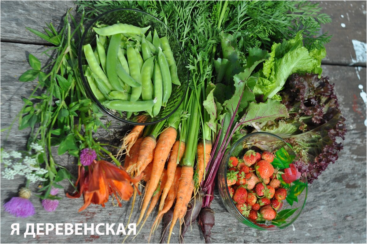 Это всё моё родное! Конец июня прошлого год