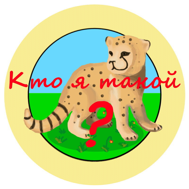 На фоне главный символ моего канала - гепард Фепа.