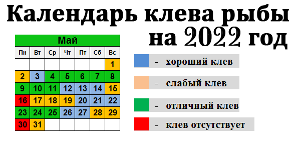 Лунный календарь рыбака на 2025 год