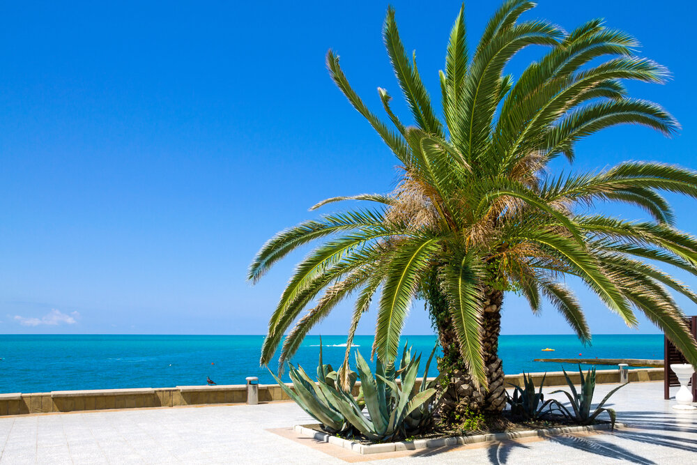 Сочи. Фото — Shutterstock.com