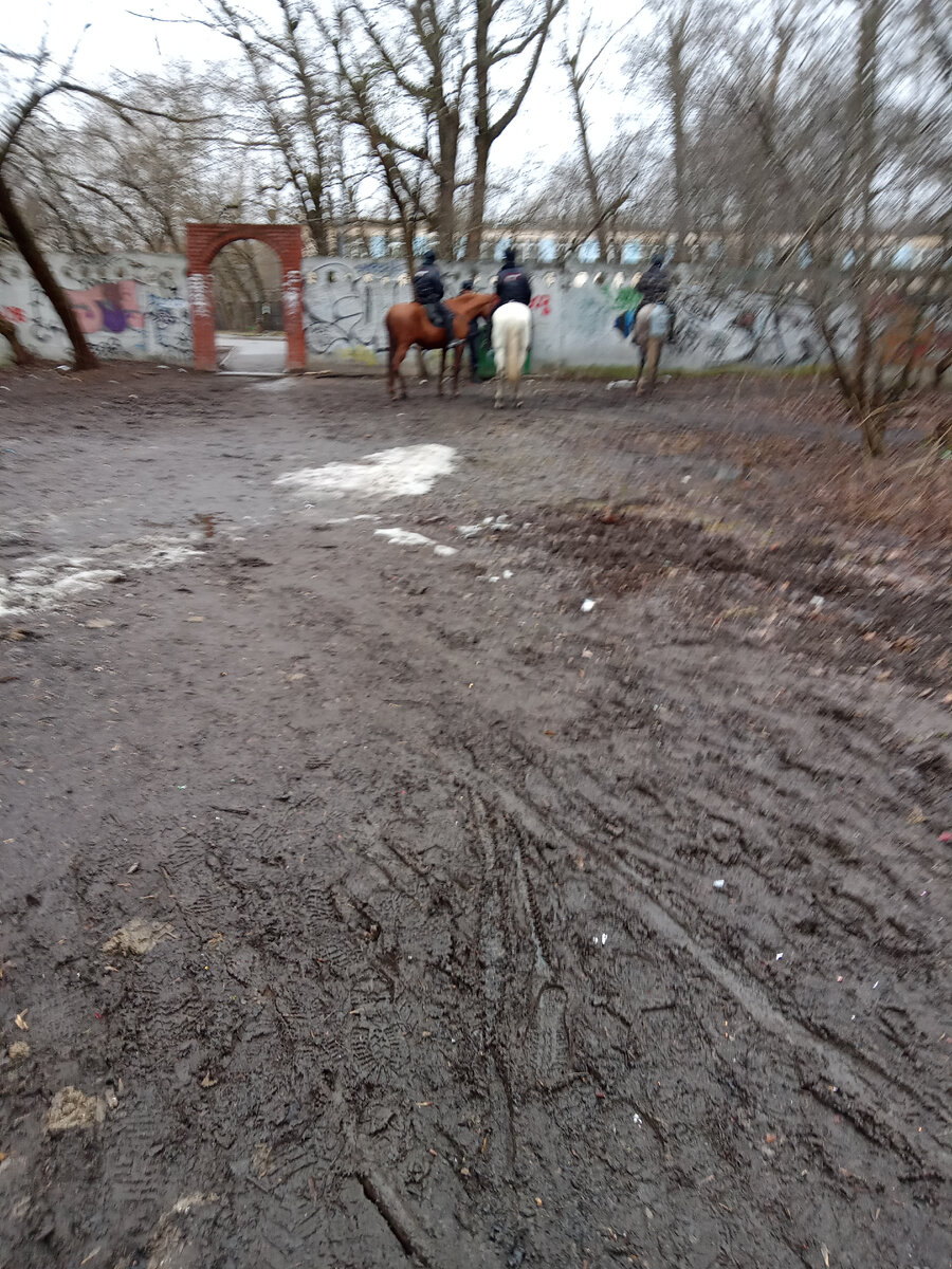 Фото автора. Конная полиция.