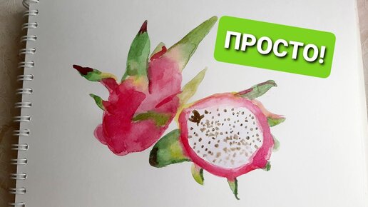 Рисуем драконий фрукт акварелью. Пошаговое рисование для начинающих