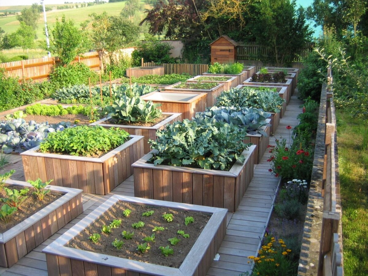 Permaculture Gardening