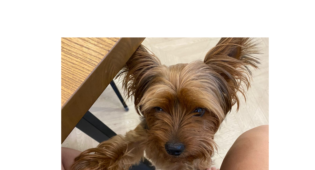 Это Крендель