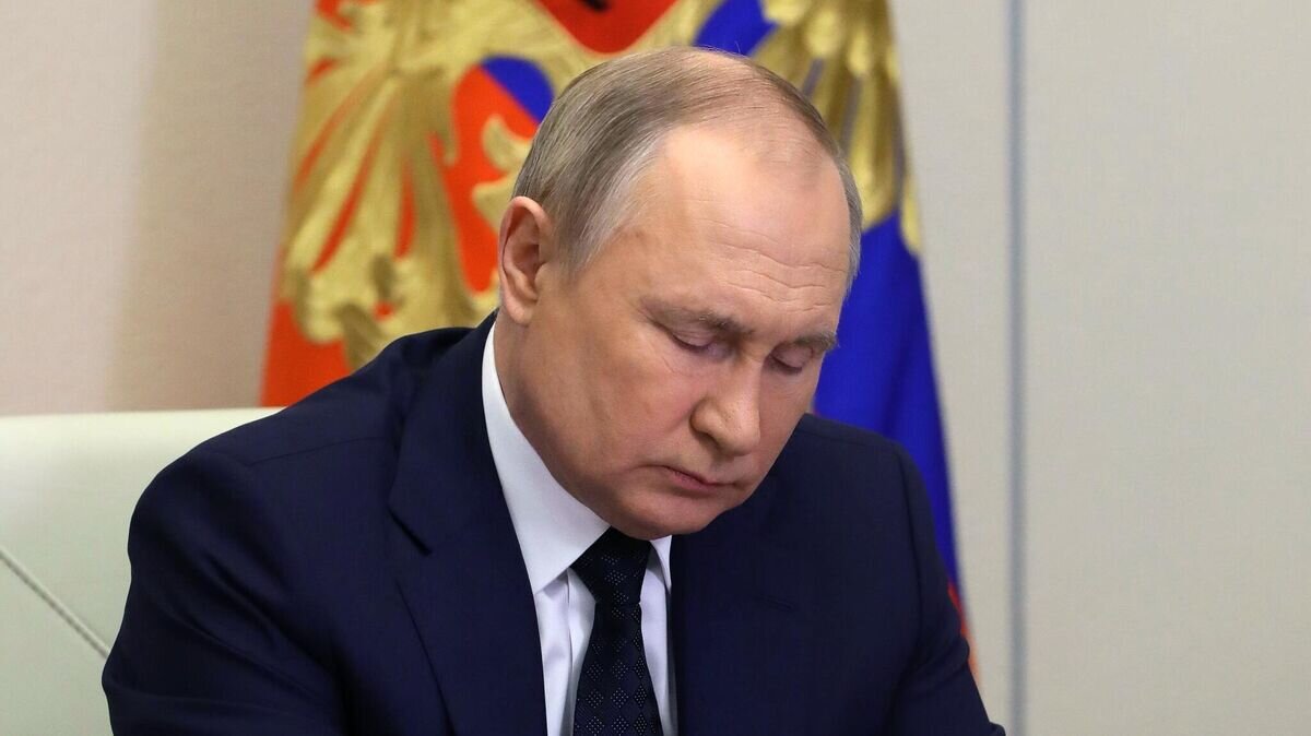    Президент России Владимир Путин проводит в режиме видеоконференции совещание с членами правительства© РИА Новости / Михаил Климентьев