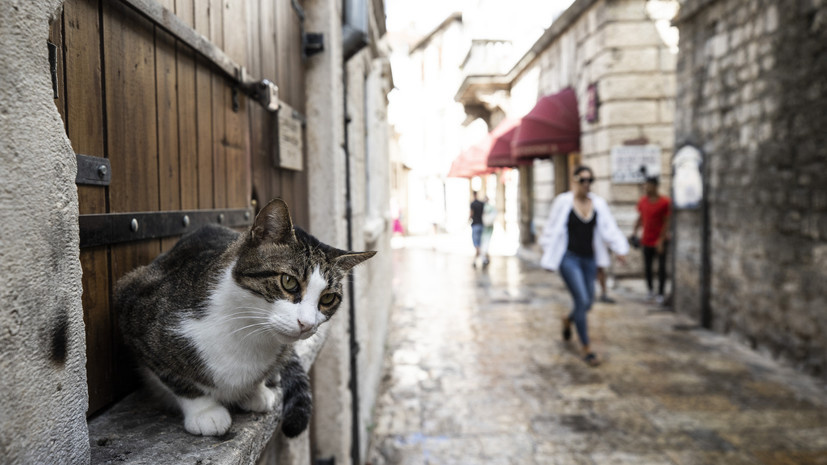   Gettyimages.ru Anadolu Agency