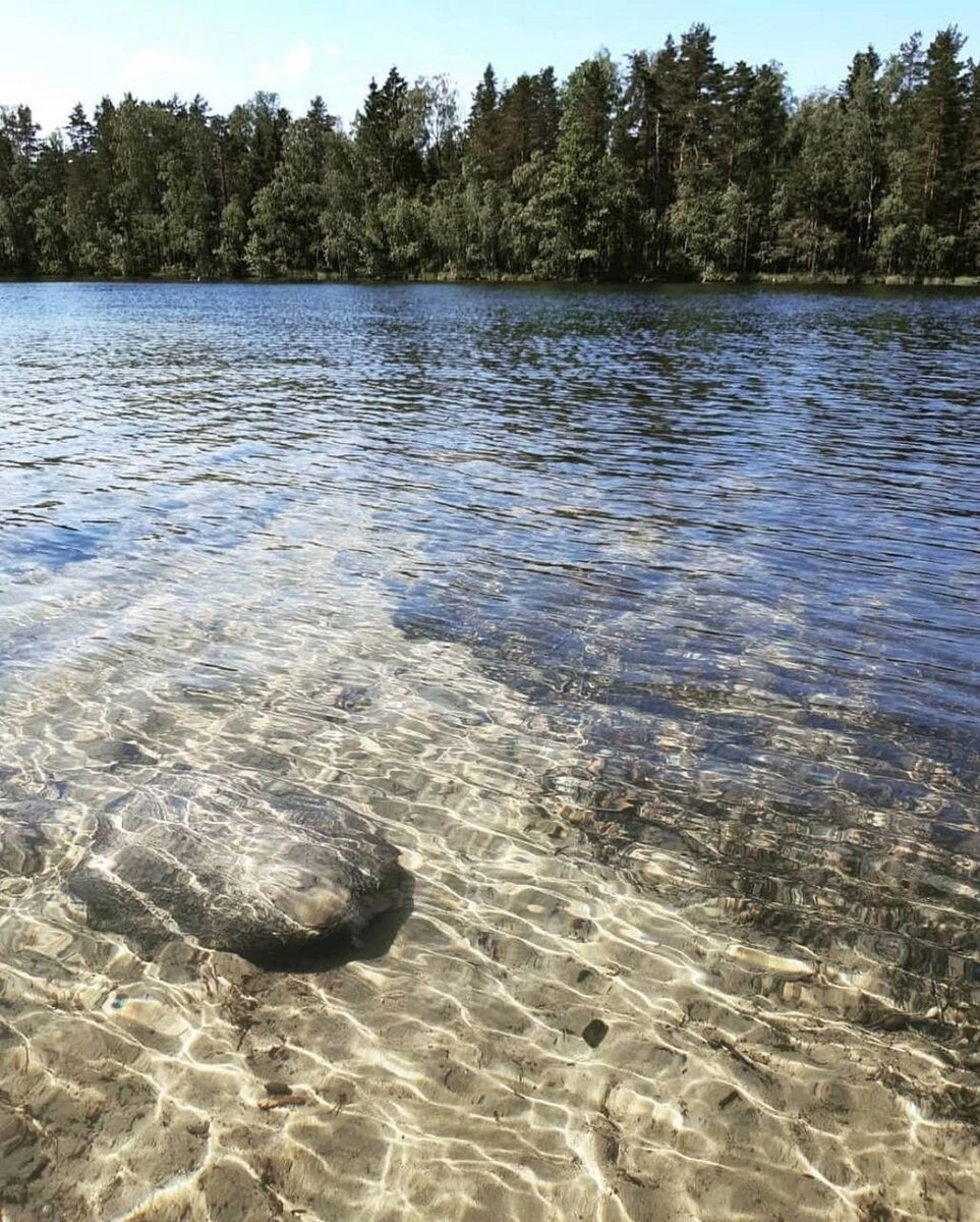 озеро тарасовское ленинградская область