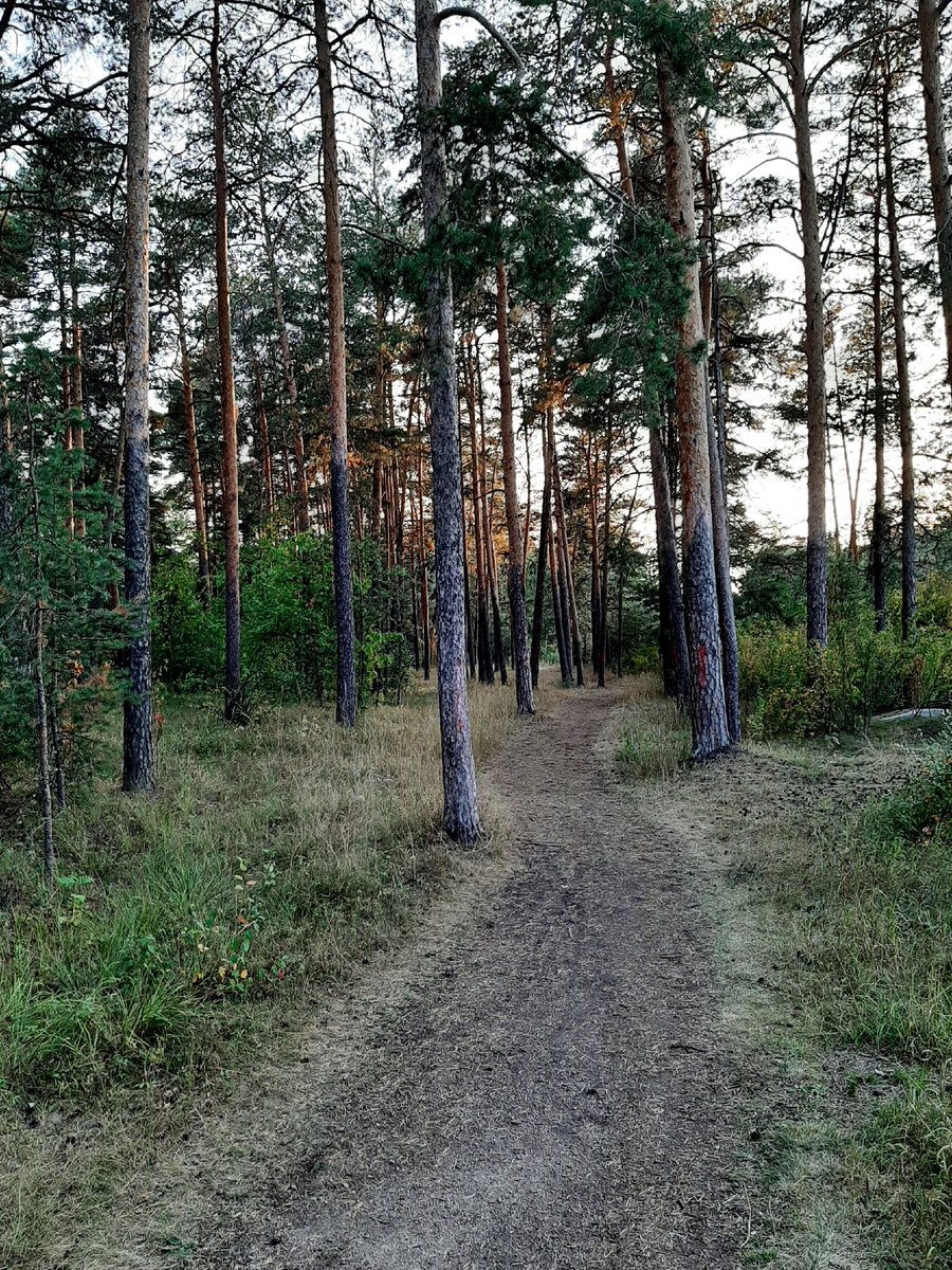 1. Душевно.
