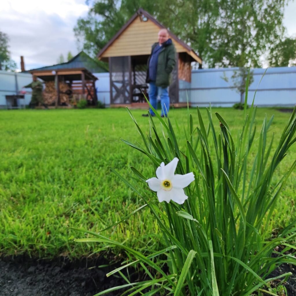 Запрет на разведение костров на дачах и в лесах навредит порядочным людям,  а жизнь злоумышленников хуже не сделает | Брянский Ворчун | Дзен