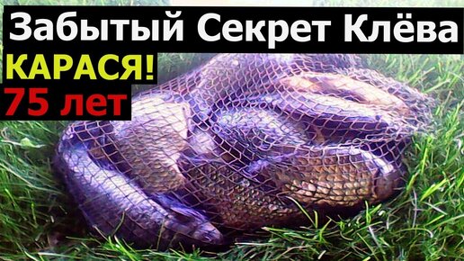 Ловля крупного карася – делимся опытом