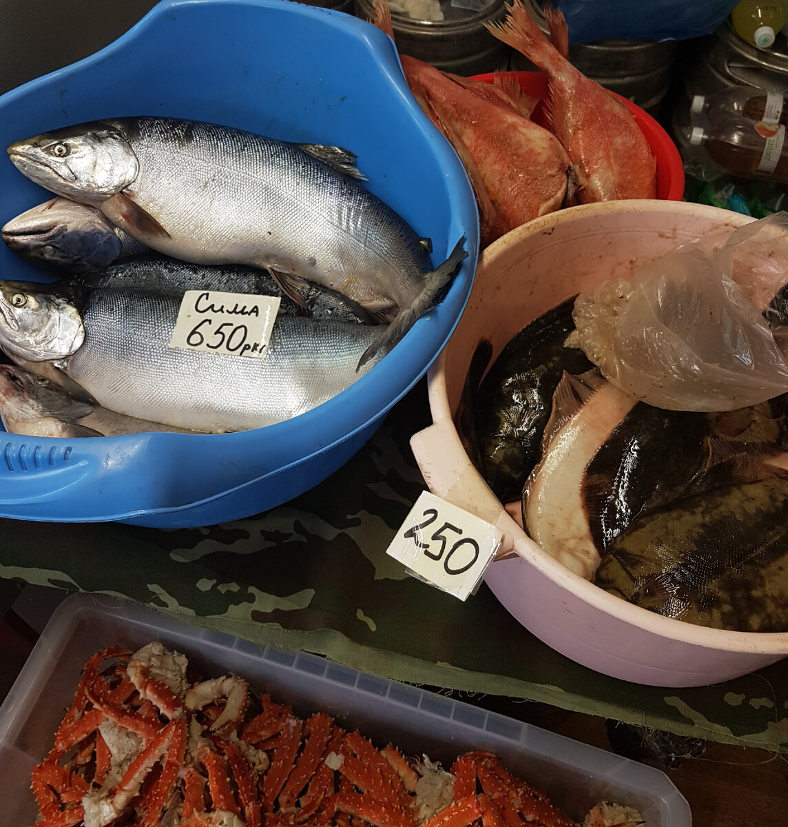 Сима и камбала