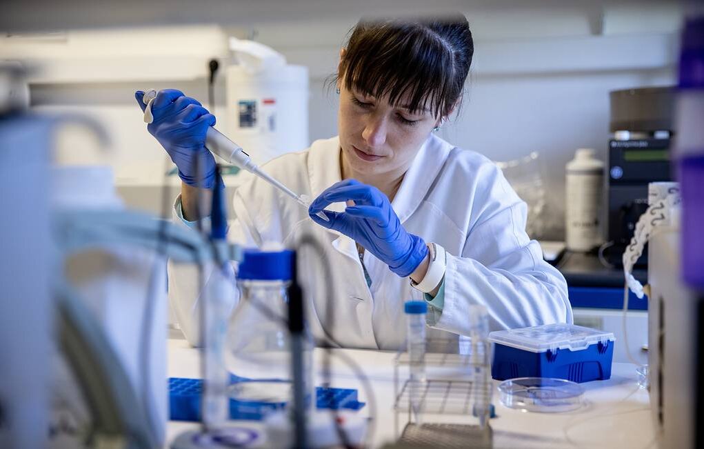 © Ajpek Orsi/Getty Images 