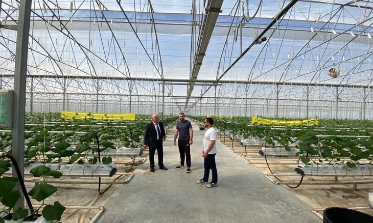    Новый высокотехнологичный тепличный комплекс в Дагестане - вклад в модернизацию республиканского АПК
