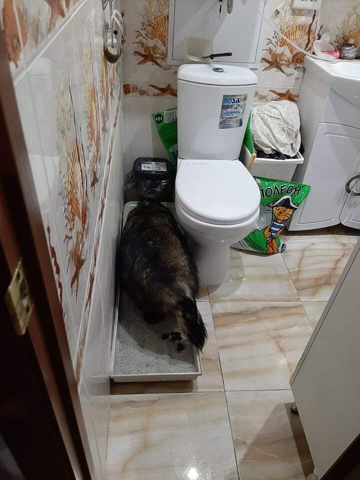 Туалет.  Добавила фото. Роксане 4 года.