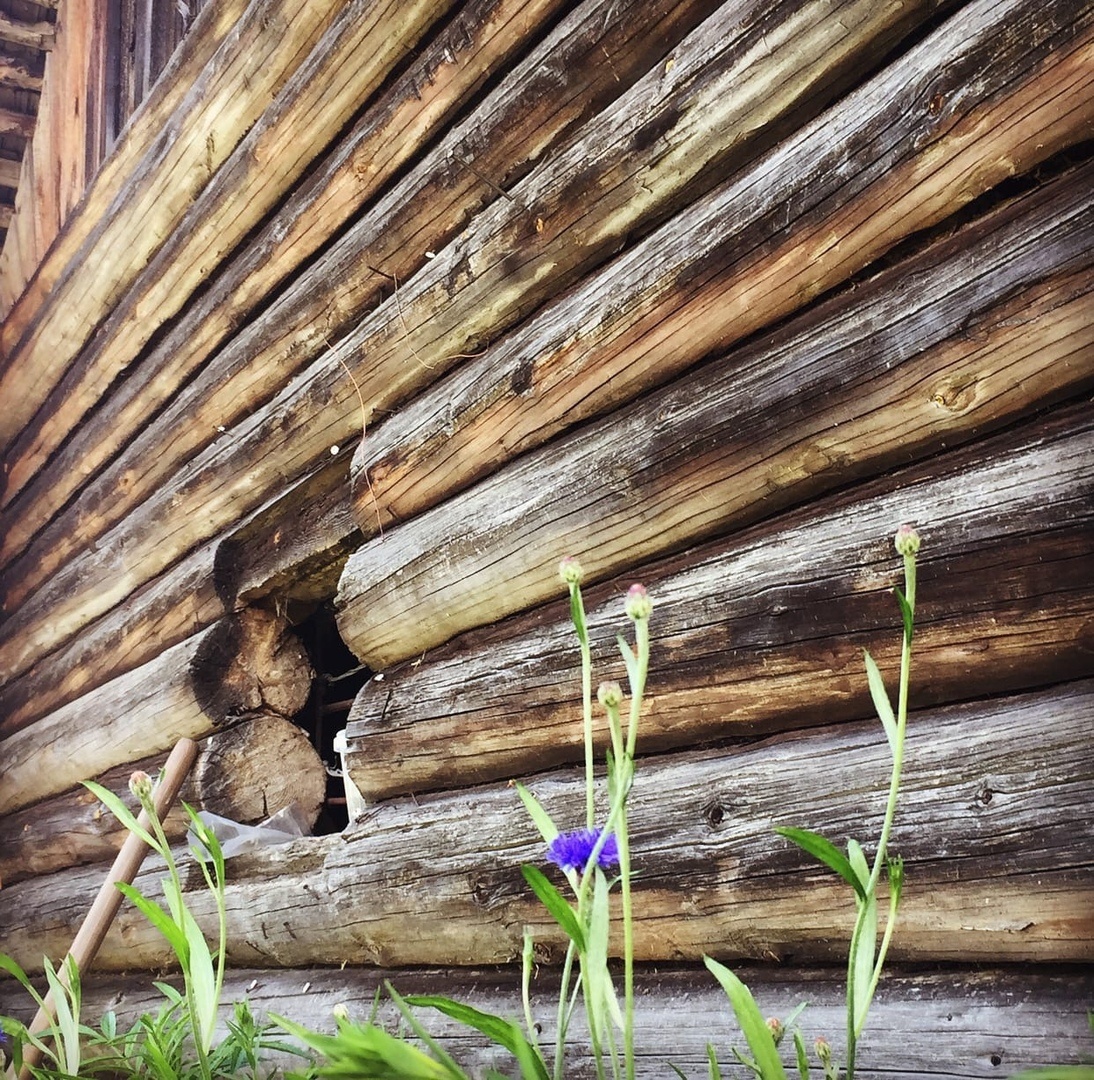 Пристройка у дома, в которой раньше содержались животные.(личное фото)