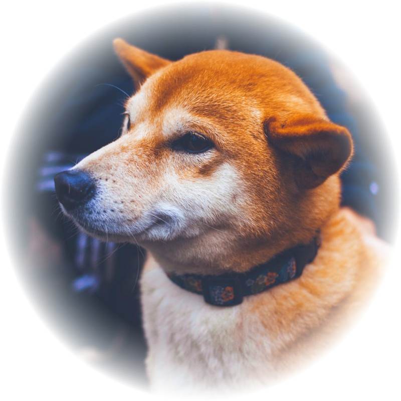 Photo by Christal Yuen on Unsplash