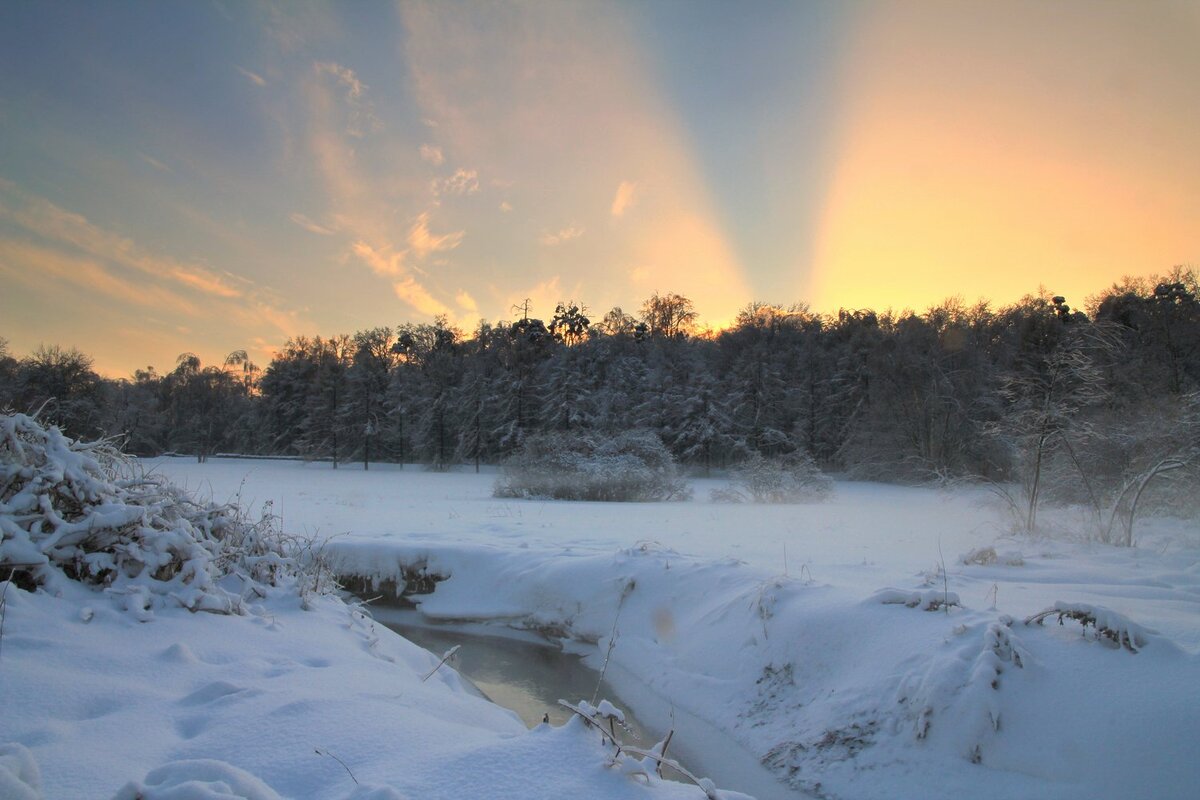 Фото: Мосприрода (Измайловский лес)