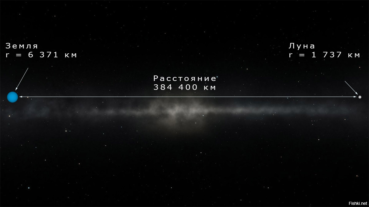 Фото взято из Яндекс.Картинок