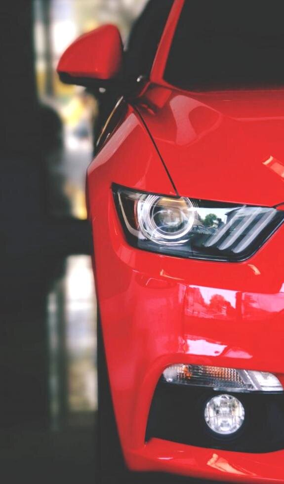 Фото взято из открытых источников