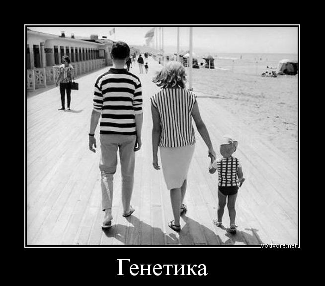 Изображение из открытых источников