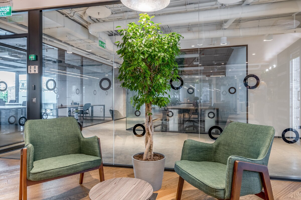 Фотография первого в России и СНГ "зеленого коворкинга" SOK City.