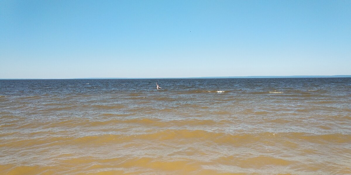 Фото автора. 12 июля 2020