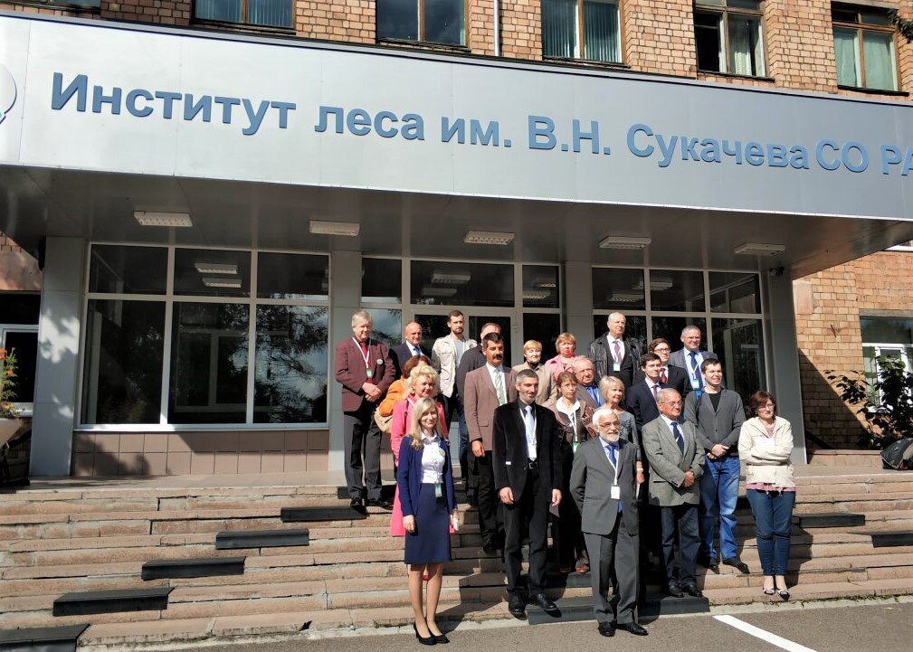 Научные сотрудники Института леса СО РАН