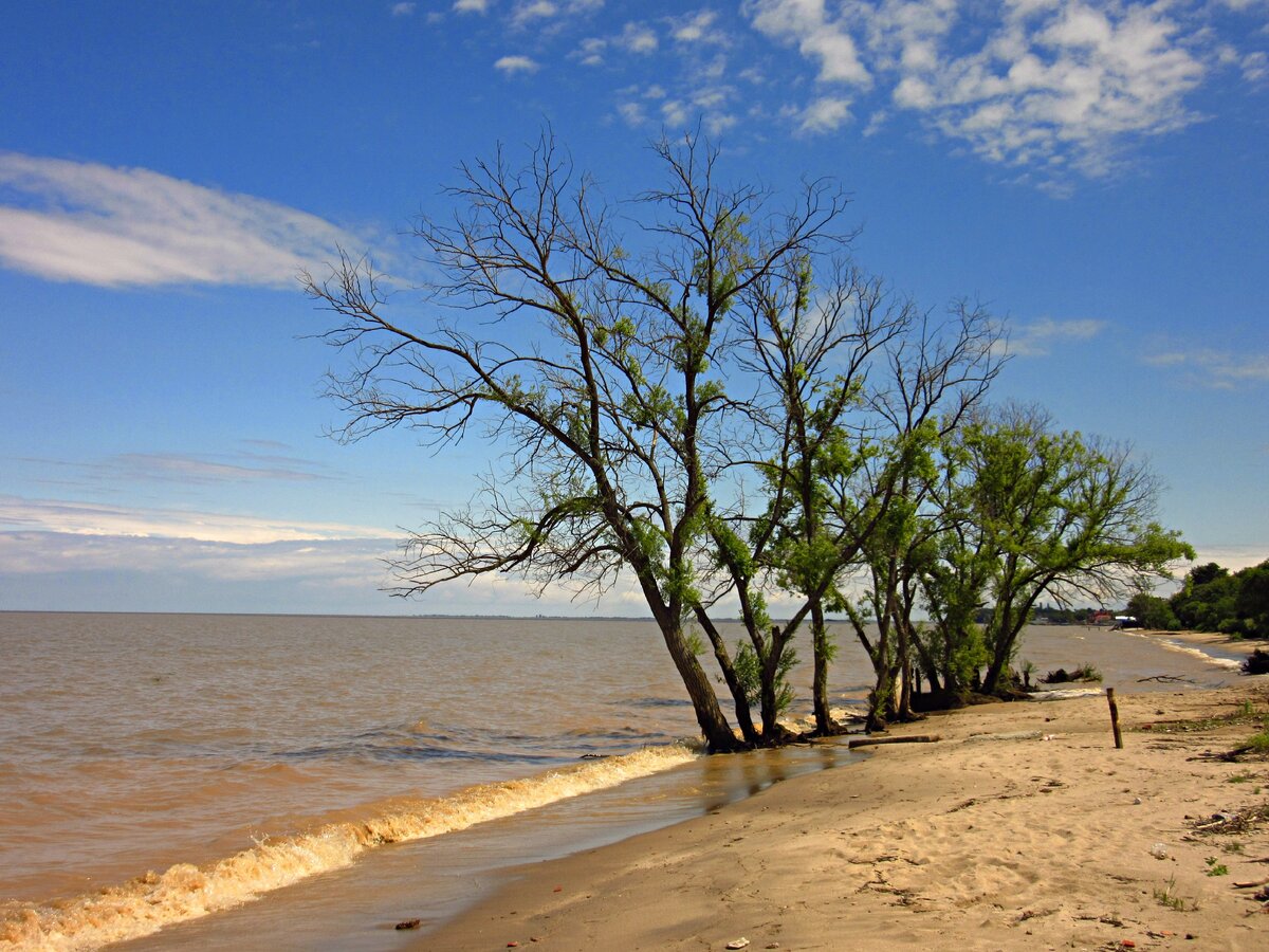 Оз Ханка Приморский край