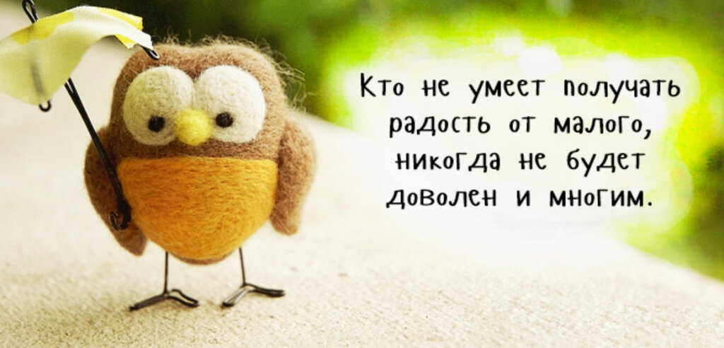 Яндекс картинки