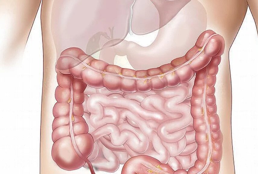 Фото: pixabay.com