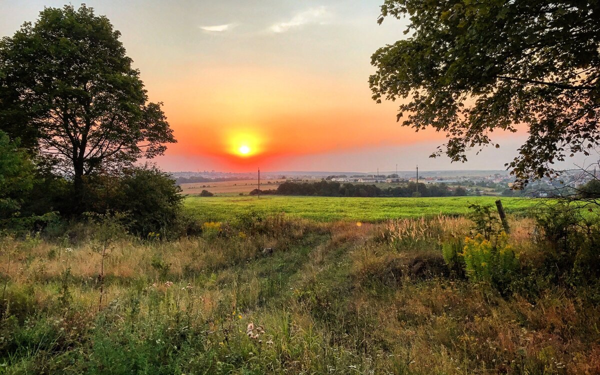 фото из открытого источника "Яндекс.Картинки