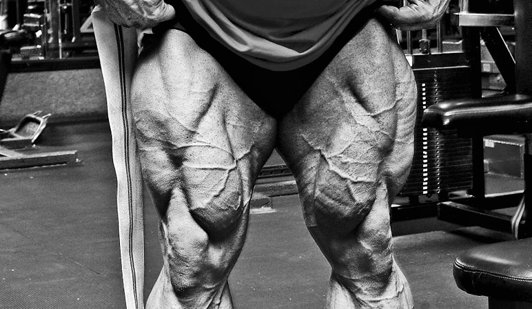 Шикарные квадрицепсы сами себя не построят...